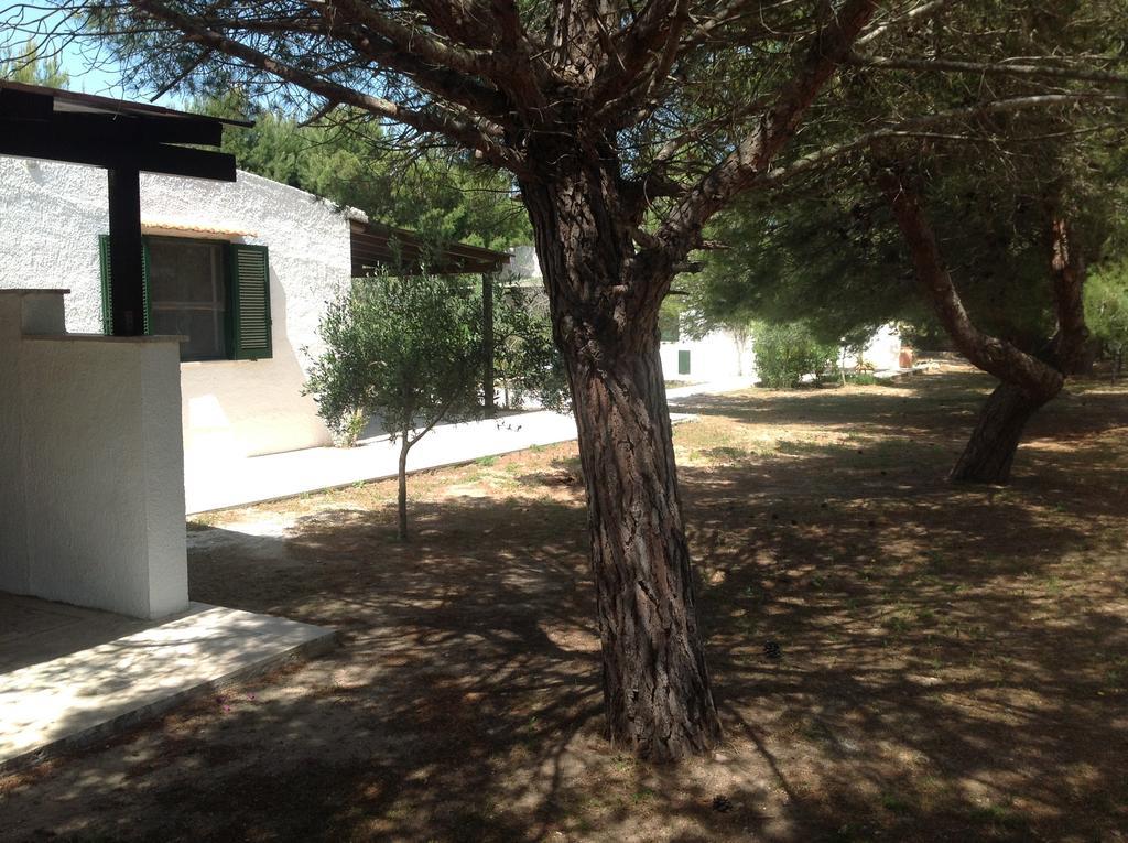 Appartamenti In Villa Senia Favignana Extérieur photo